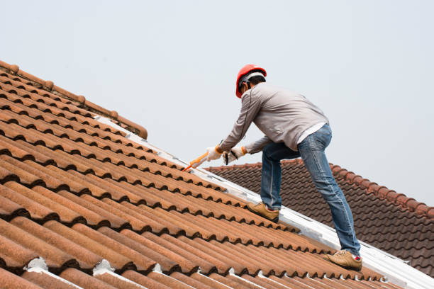 Best Roof Leak Repair  in West Wendover, NV