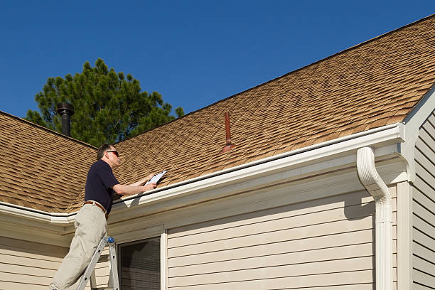 Best Roof Moss and Algae Removal  in West Wendover, NV